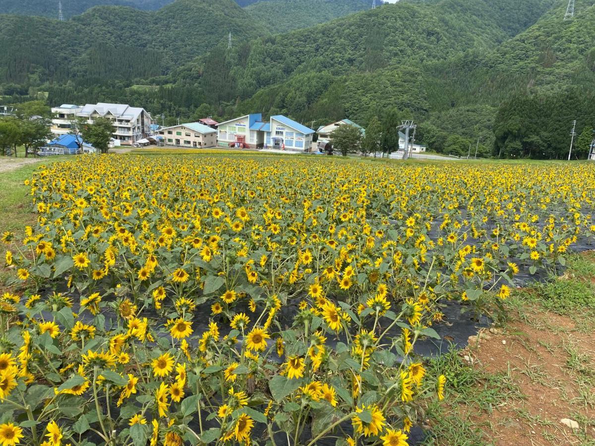 花緑里-Hanamidori-乙原のやど 岐阜下呂温泉郡上飛騨金山湖畔リゾート 郡上市 外观 照片
